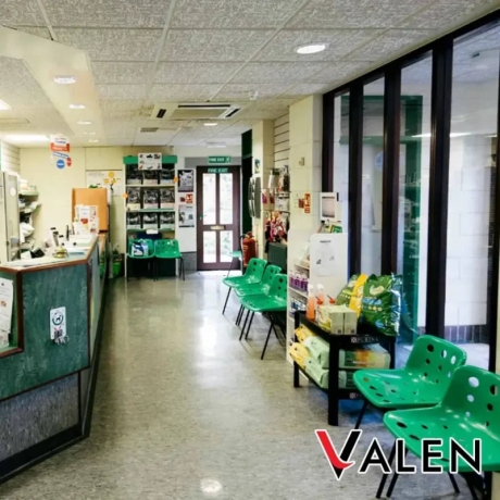 SÀN VINYL CUỘN CAO CẤP | STONE GREY – 1484 | VALEN VINYL ROLL