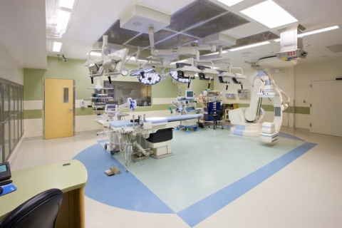 Sàn Vinyl đồng nhất là gì? Thông tin cơ bản về loại sàn này