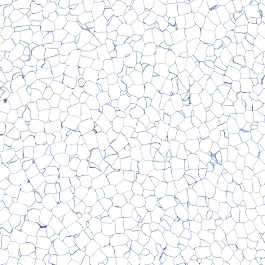 Sàn Vinyl Tĩnh Điện BARNETT T1 & T2 – Giải Pháp Cho Phòng Sạch & Khu Công Nghệ Cao