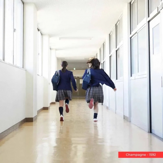 SÀN VINYL CUỘN PVC TIẾT KIỆM | CHAMPAGNE – 1592 | CLERRA VINYL ROLL